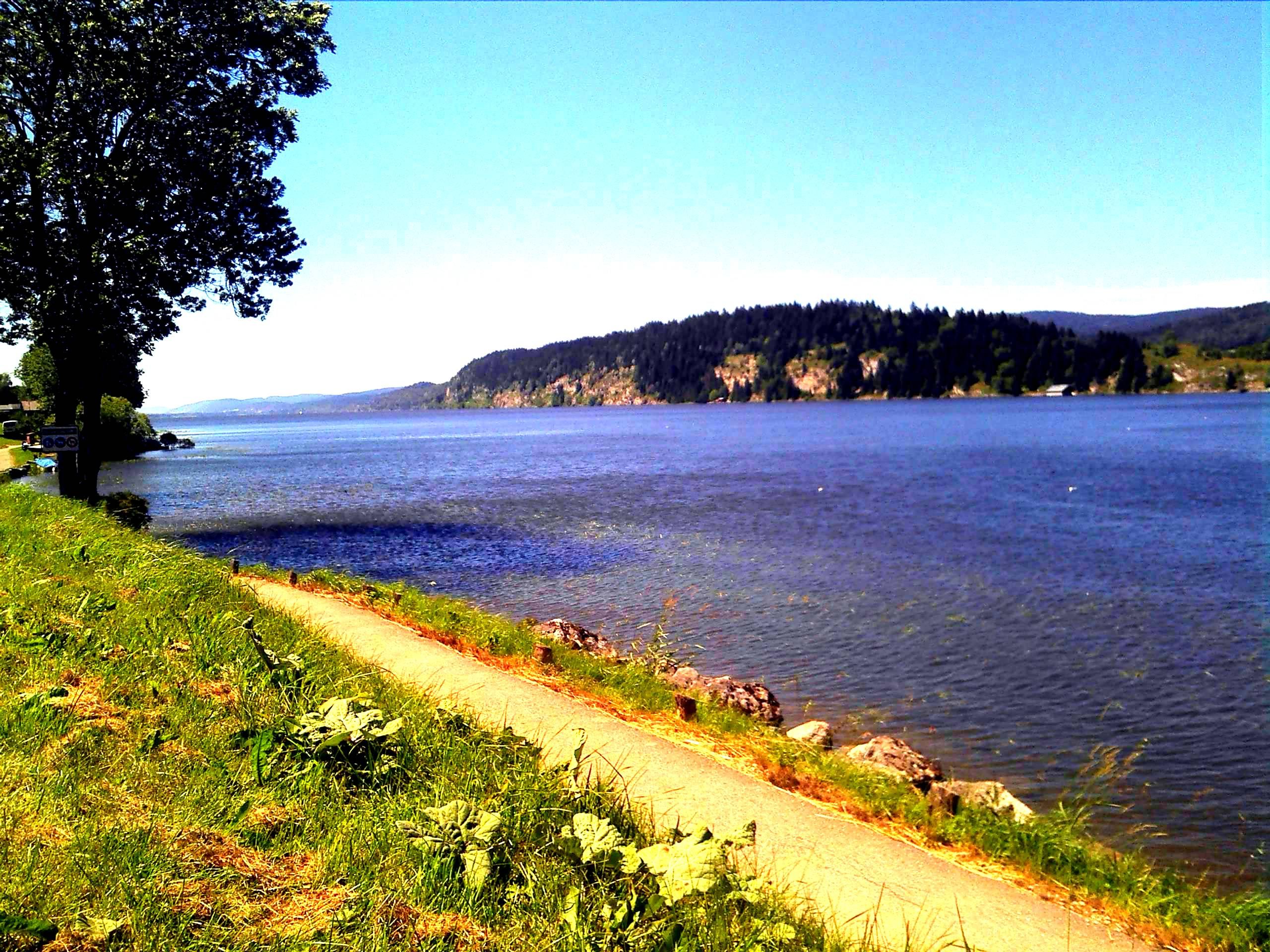https://mdw-travel-data-us-east-1.s3.amazonaws.com/img/country/Switzerland/Lac-de-Joux/img_05.jpg
