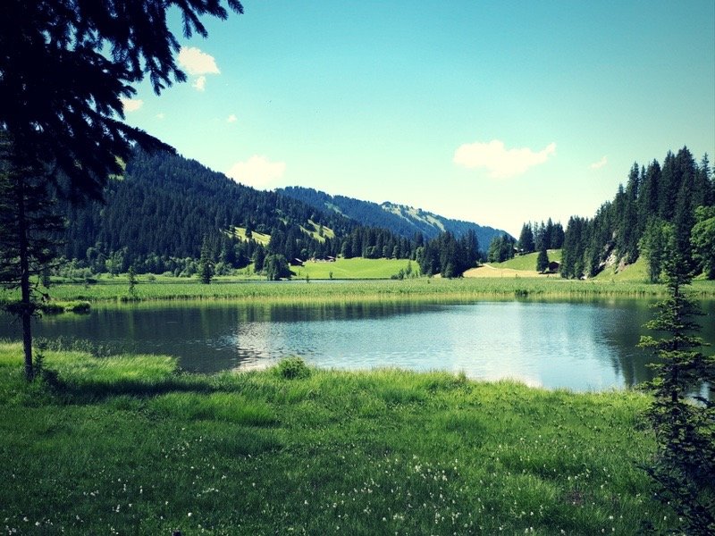 https://mdw-travel-data-us-east-1.s3.amazonaws.com/img/country/Switzerland/Lauenensee/img_01.jpg