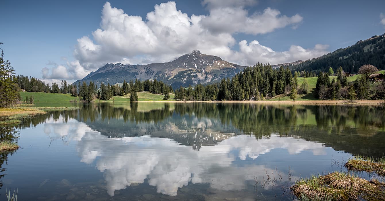 https://mdw-travel-data-us-east-1.s3.amazonaws.com/img/country/Switzerland/Lauenensee/img_02.jpg
