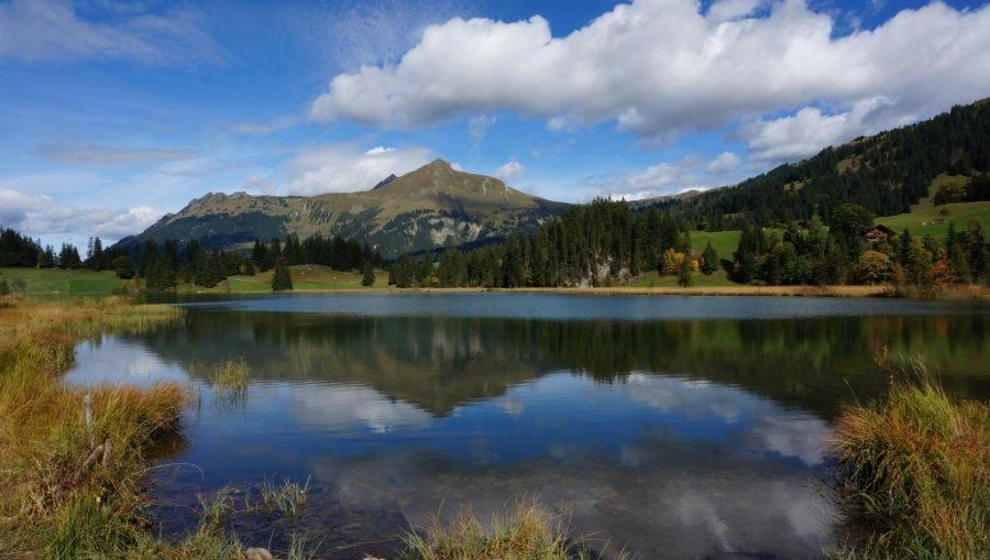 https://mdw-travel-data-us-east-1.s3.amazonaws.com/img/country/Switzerland/Lauenensee/img_03.jpg