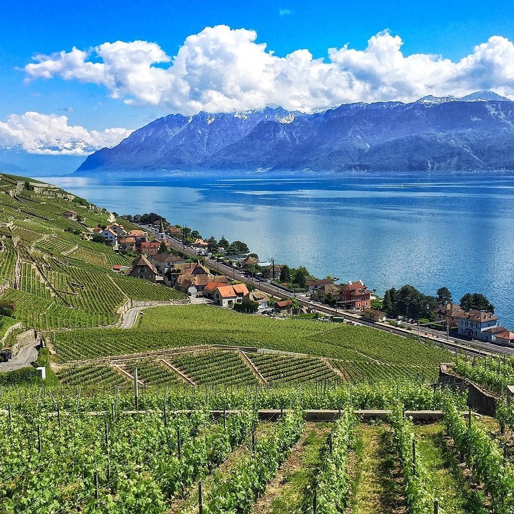 https://mdw-travel-data-us-east-1.s3.amazonaws.com/img/country/Switzerland/Lavaux-Vineyards/img_00.jpg