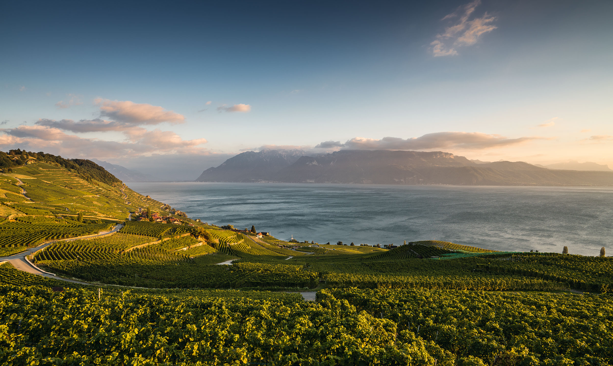 https://mdw-travel-data-us-east-1.s3.amazonaws.com/img/country/Switzerland/Lavaux-Vineyards/img_01.jpg