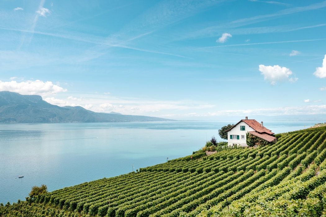 https://mdw-travel-data-us-east-1.s3.amazonaws.com/img/country/Switzerland/Lavaux-Vineyards/img_02.jpg