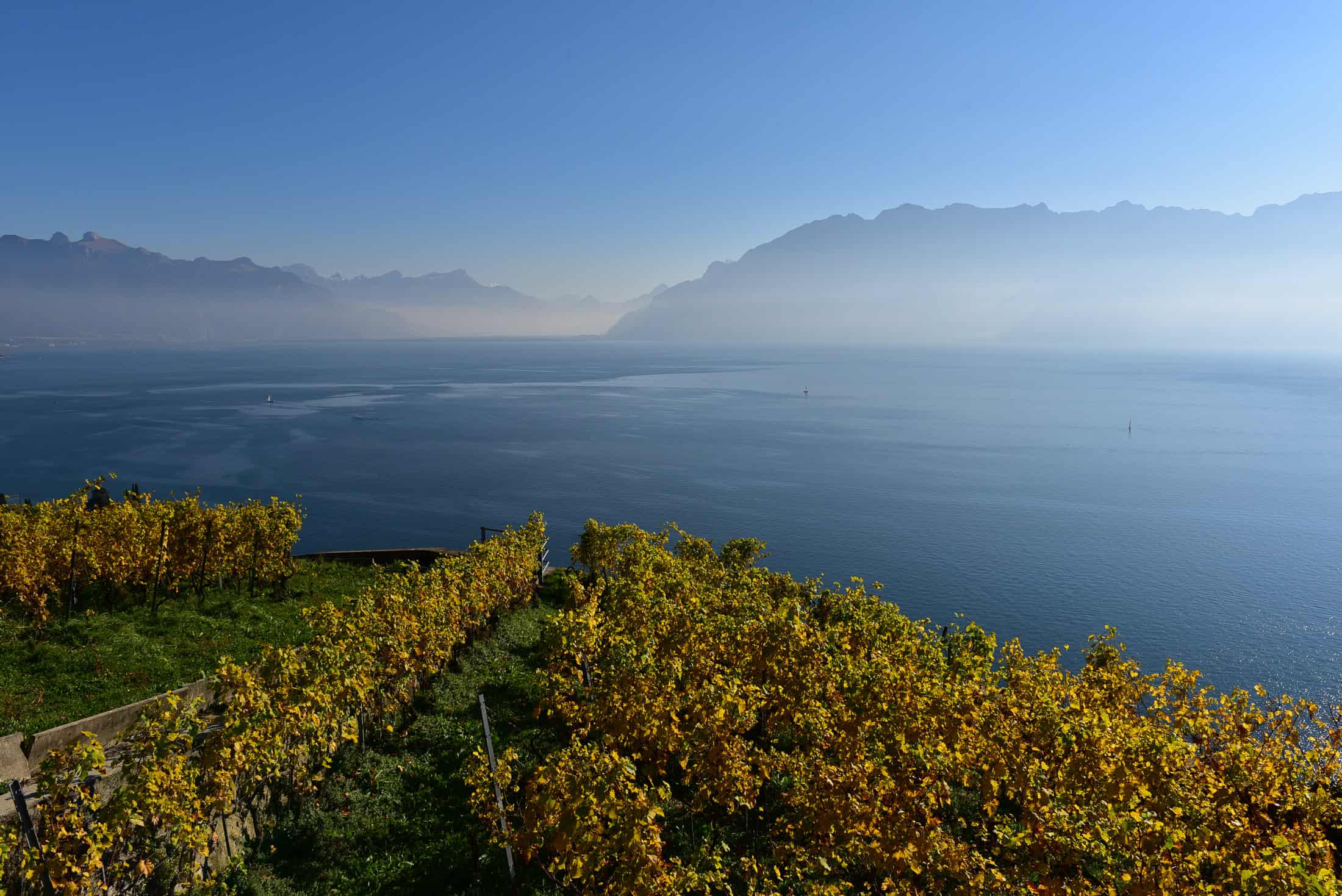 https://mdw-travel-data-us-east-1.s3.amazonaws.com/img/country/Switzerland/Lavaux-Vineyards/img_03.jpg