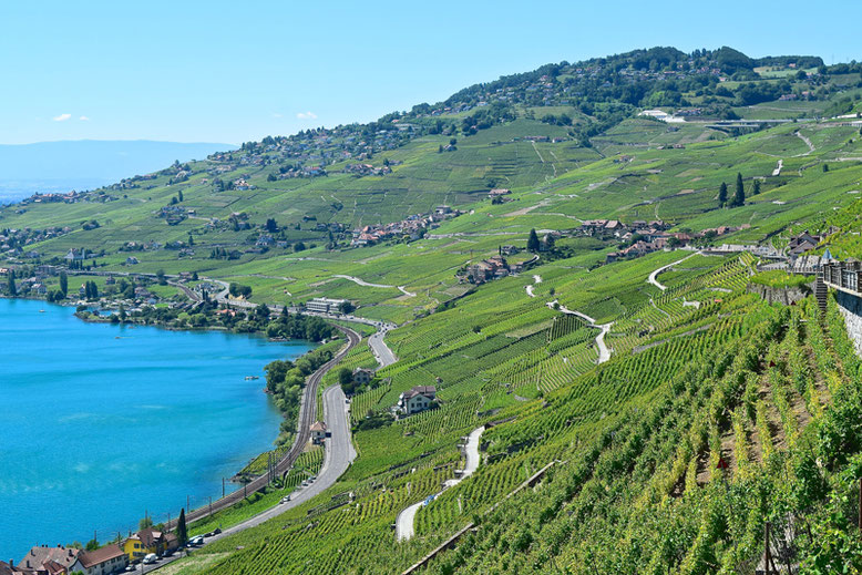 https://mdw-travel-data-us-east-1.s3.amazonaws.com/img/country/Switzerland/Lavaux-Vineyards/img_04.jpg
