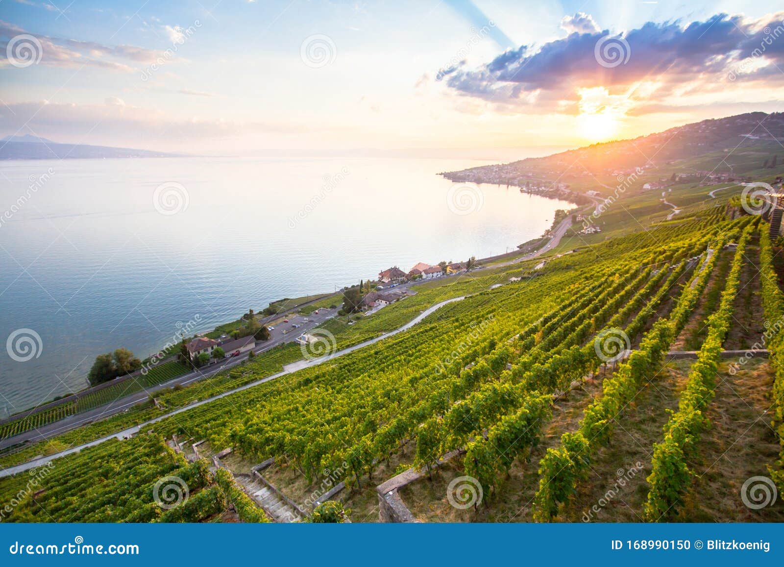 https://mdw-travel-data-us-east-1.s3.amazonaws.com/img/country/Switzerland/Lavaux-Vineyards/img_05.jpg