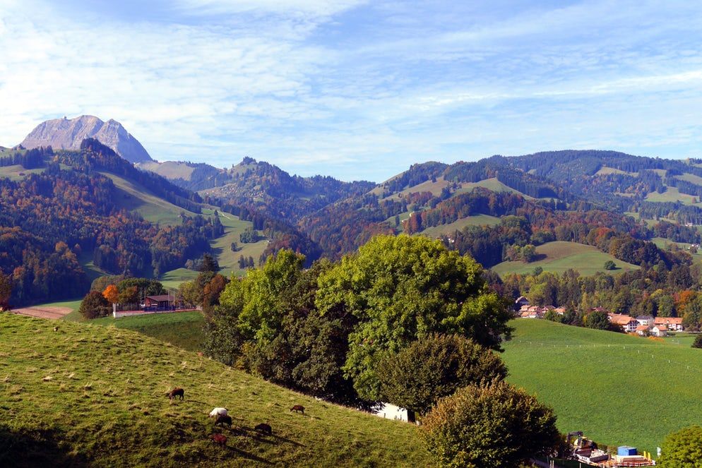 https://mdw-travel-data-us-east-1.s3.amazonaws.com/img/country/Switzerland/Maison-Cailler/img_03.jpg