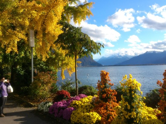 https://mdw-travel-data-us-east-1.s3.amazonaws.com/img/country/Switzerland/Montreux-Lakeside-Promenade/img_03.jpg