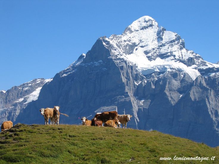 https://mdw-travel-data-us-east-1.s3.amazonaws.com/img/country/Switzerland/Mount-Eiger/img_02.jpg