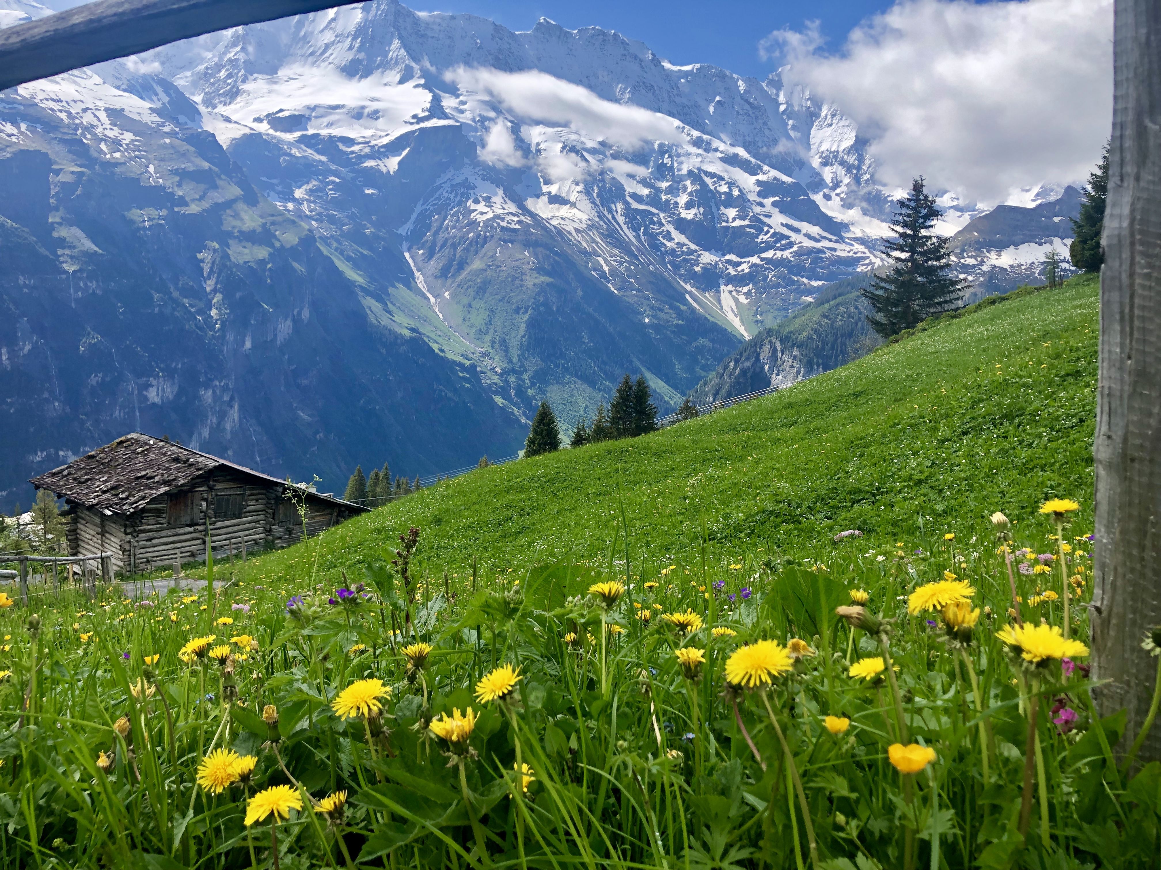https://mdw-travel-data-us-east-1.s3.amazonaws.com/img/country/Switzerland/Murren/img_01.jpg