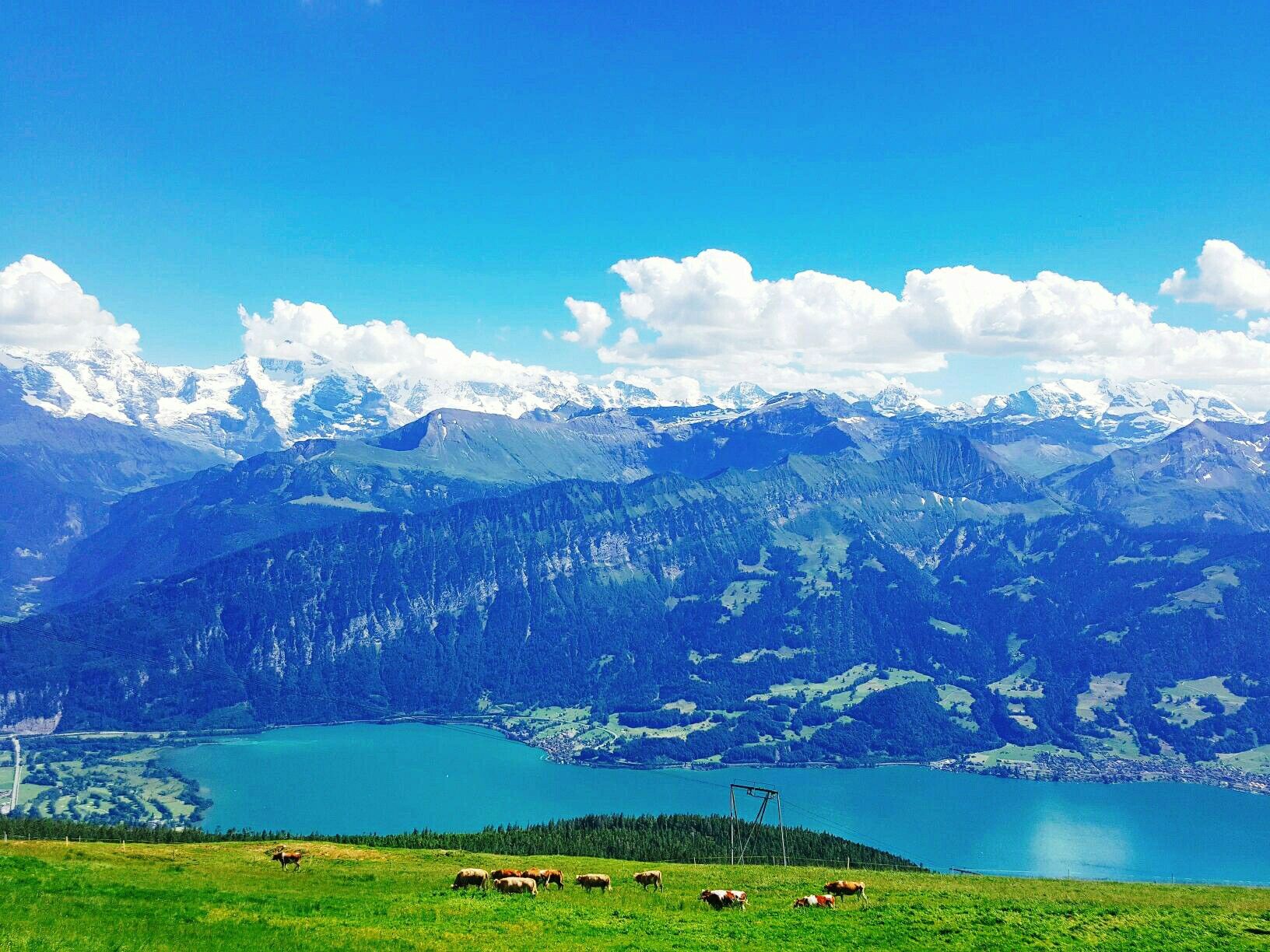 https://mdw-travel-data-us-east-1.s3.amazonaws.com/img/country/Switzerland/Niederhorn/img_02.jpg