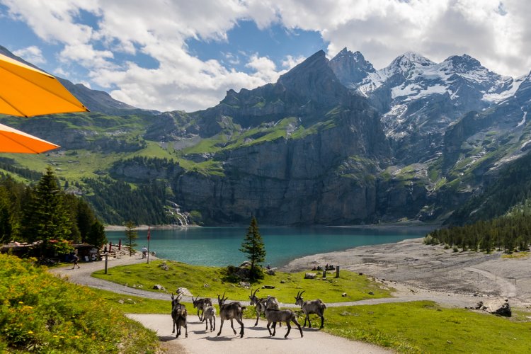 https://mdw-travel-data-us-east-1.s3.amazonaws.com/img/country/Switzerland/Oeschinen-Lake/img_01.jpg