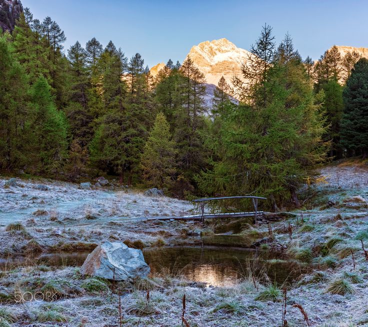 https://mdw-travel-data-us-east-1.s3.amazonaws.com/img/country/Switzerland/Parc-Ela/img_03.jpg