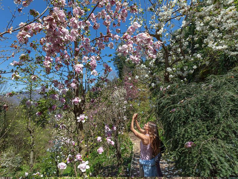 https://mdw-travel-data-us-east-1.s3.amazonaws.com/img/country/Switzerland/Parco-Botanico-del-Gambarogno/img_02.jpg