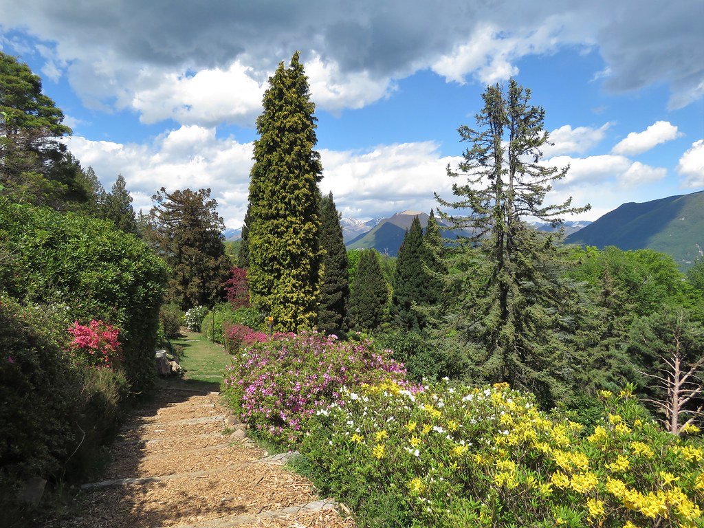 https://mdw-travel-data-us-east-1.s3.amazonaws.com/img/country/Switzerland/Parco-Botanico-del-Gambarogno/img_03.jpg