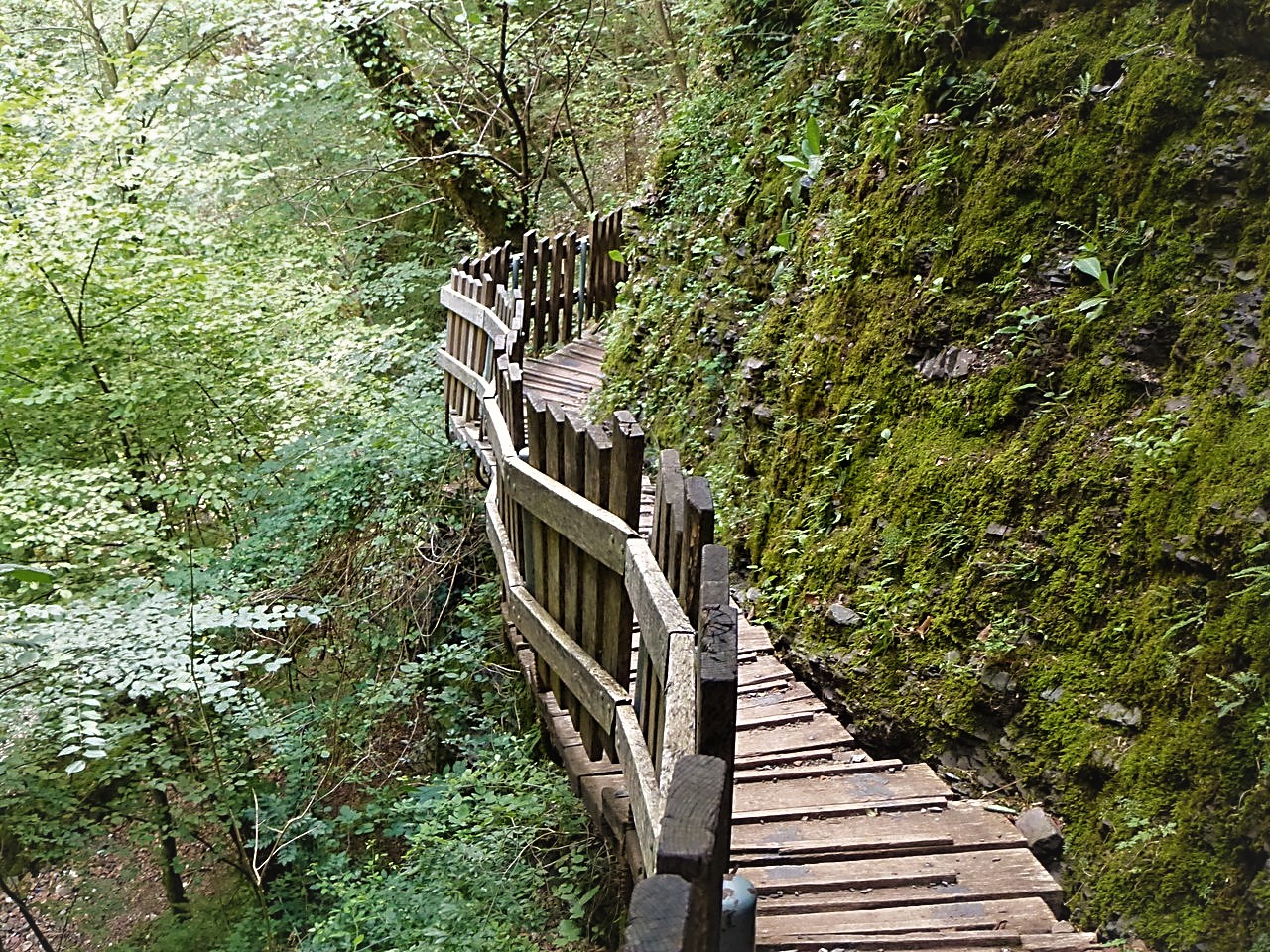 https://mdw-travel-data-us-east-1.s3.amazonaws.com/img/country/Switzerland/Parco-delle-Gole-della-Breggia/img_04.jpg