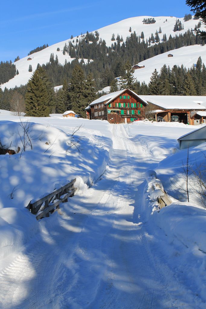 https://mdw-travel-data-us-east-1.s3.amazonaws.com/img/country/Switzerland/Rellerli/img_01.jpg