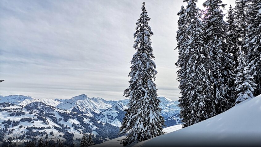 https://mdw-travel-data-us-east-1.s3.amazonaws.com/img/country/Switzerland/Rellerli/img_02.jpg