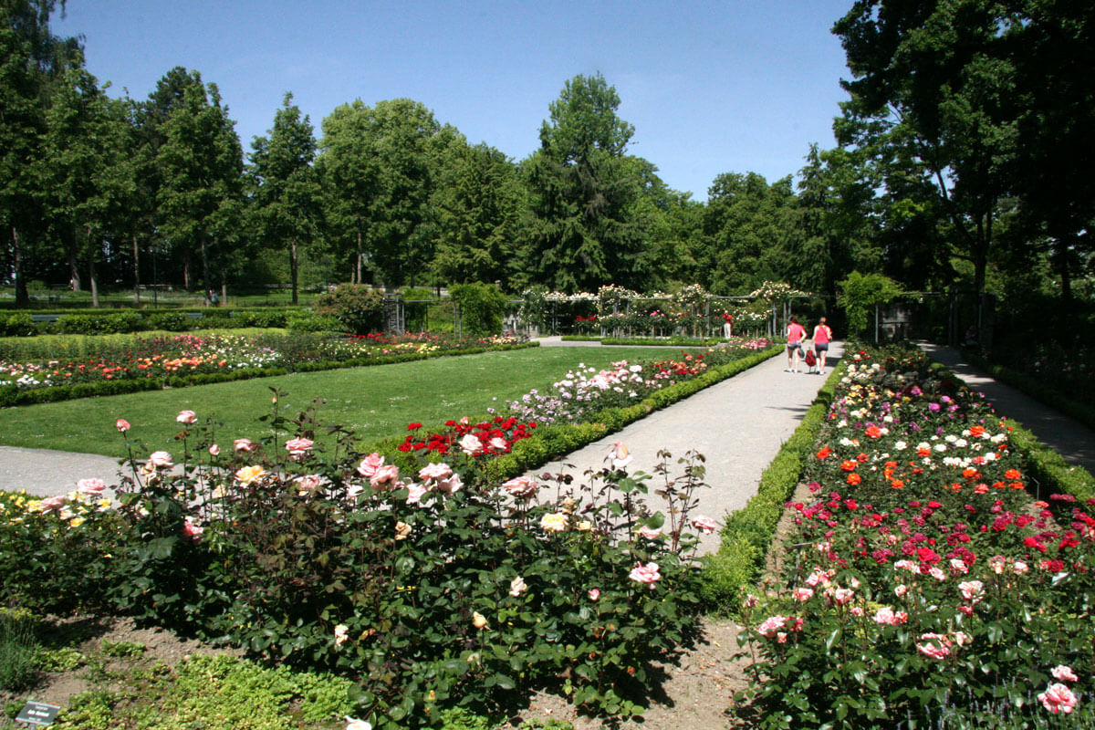 https://mdw-travel-data-us-east-1.s3.amazonaws.com/img/country/Switzerland/Rosengarten/img_01.jpg