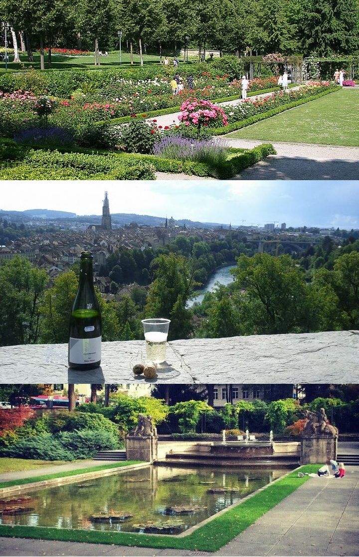 https://mdw-travel-data-us-east-1.s3.amazonaws.com/img/country/Switzerland/Rosengarten/img_03.jpg