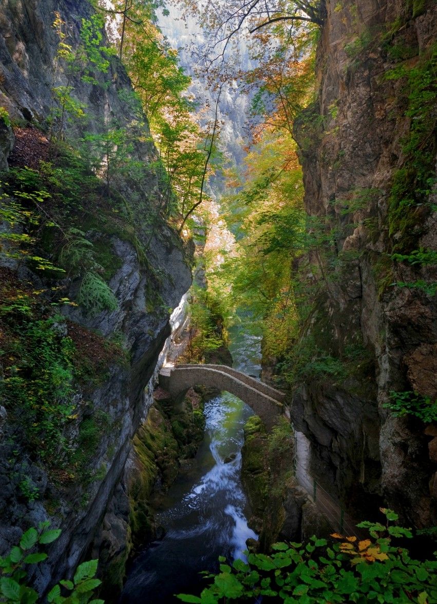 https://mdw-travel-data-us-east-1.s3.amazonaws.com/img/country/Switzerland/Rousseau-Island/img_01.jpg