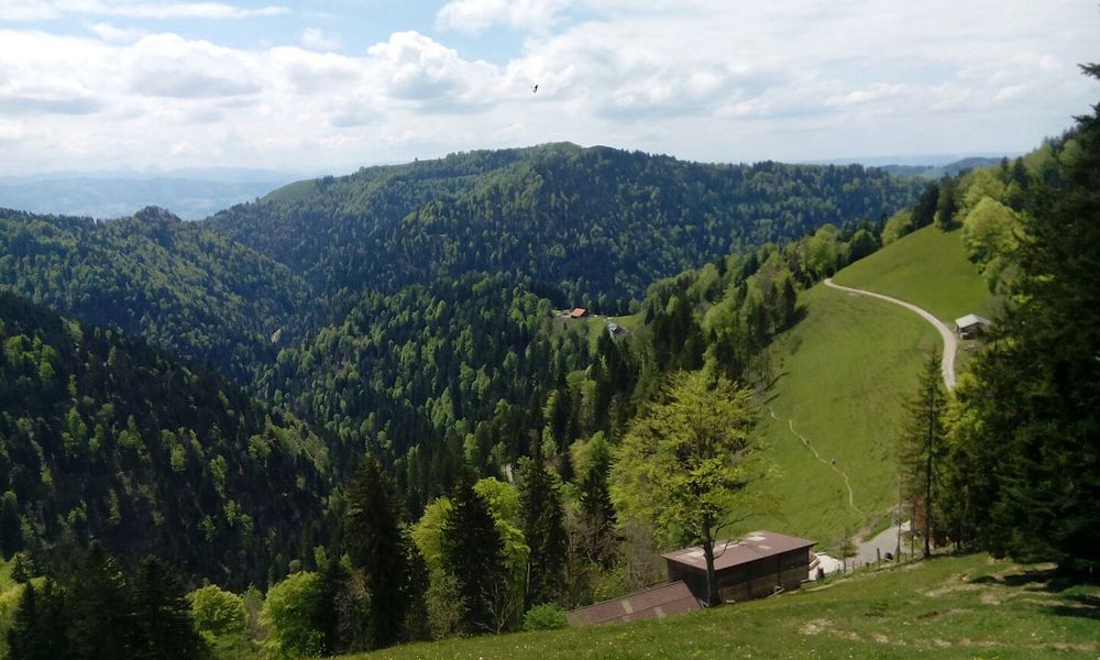 https://mdw-travel-data-us-east-1.s3.amazonaws.com/img/country/Switzerland/Schnebelhorn/img_01.jpg