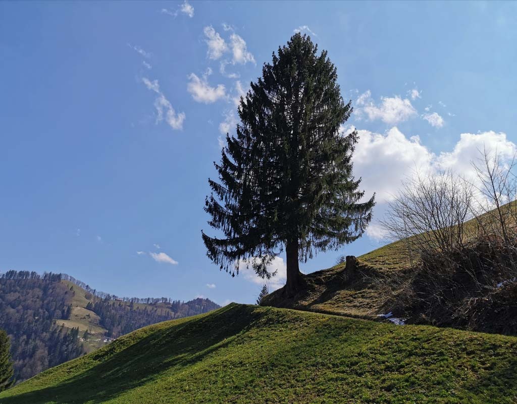 https://mdw-travel-data-us-east-1.s3.amazonaws.com/img/country/Switzerland/Schnebelhorn/img_02.jpg