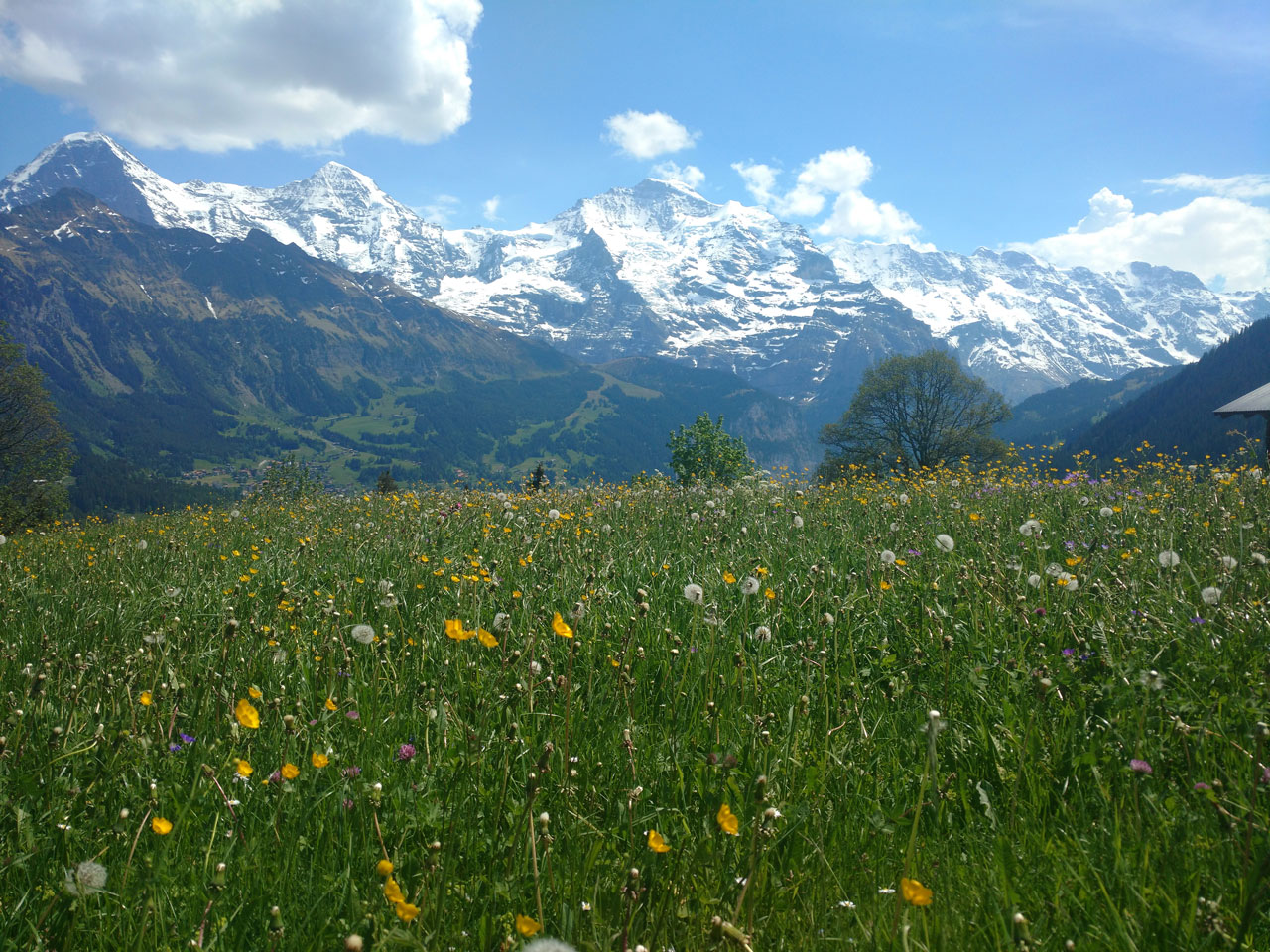https://mdw-travel-data-us-east-1.s3.amazonaws.com/img/country/Switzerland/Sulwald/img_01.jpg