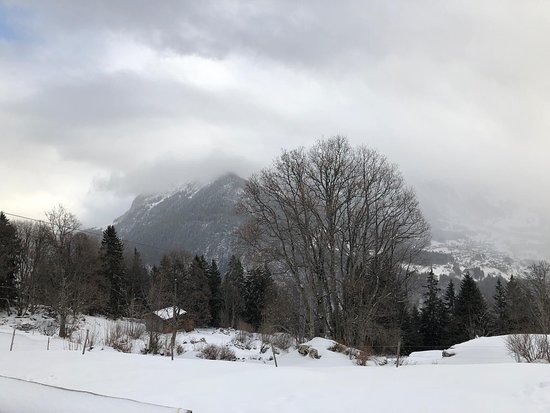 https://mdw-travel-data-us-east-1.s3.amazonaws.com/img/country/Switzerland/Sulwald/img_03.jpg