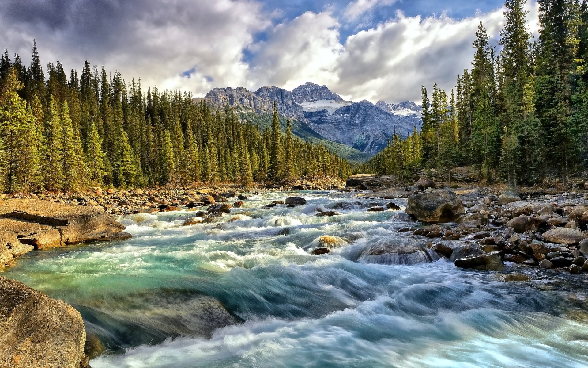 https://mdw-travel-data-us-east-1.s3.amazonaws.com/img/country/Switzerland/Swiss-National-Park/img_01.jpg