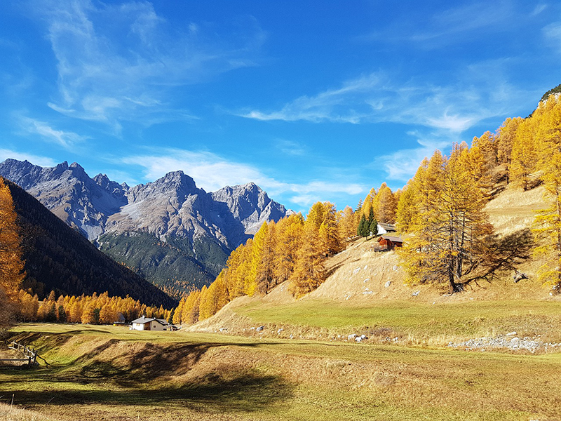 https://mdw-travel-data-us-east-1.s3.amazonaws.com/img/country/Switzerland/Swiss-National-Park/img_02.jpg