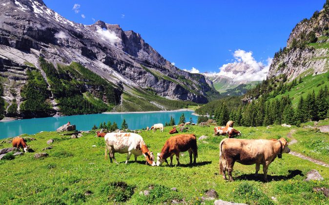 https://mdw-travel-data-us-east-1.s3.amazonaws.com/img/country/Switzerland/Swissminiatur/img_04.jpg