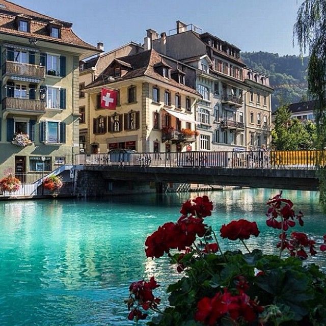 https://mdw-travel-data-us-east-1.s3.amazonaws.com/img/country/Switzerland/Thun-Chinese-Garden/img_02.jpg