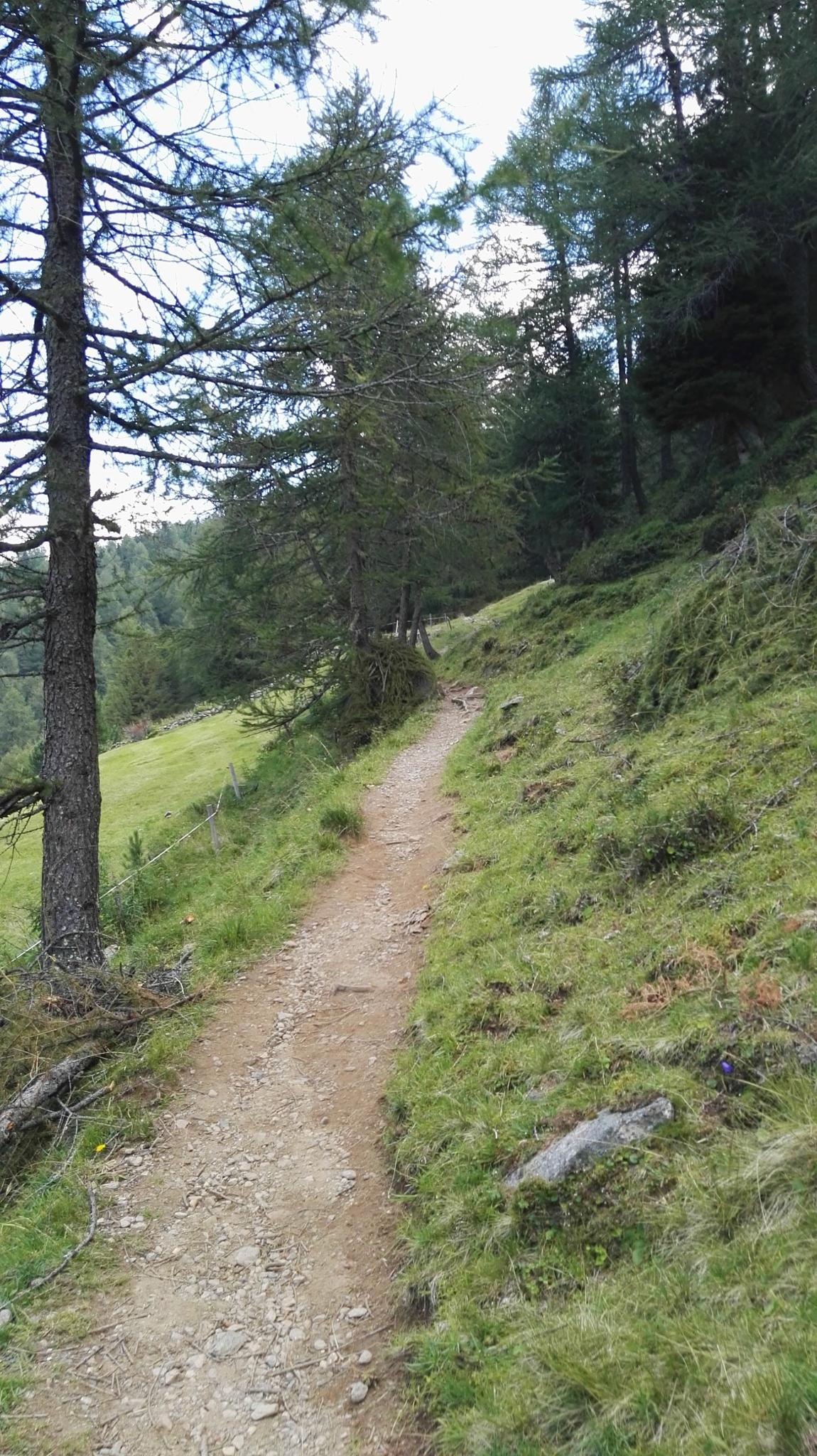 https://mdw-travel-data-us-east-1.s3.amazonaws.com/img/country/Switzerland/Val-da-Camp/img_01.jpg