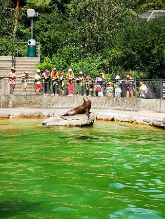 https://mdw-travel-data-us-east-1.s3.amazonaws.com/img/country/Switzerland/Zoo-Basel/img_01.jpg