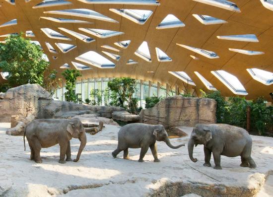 https://mdw-travel-data-us-east-1.s3.amazonaws.com/img/country/Switzerland/Zurich-Zoo/img_03.jpg
