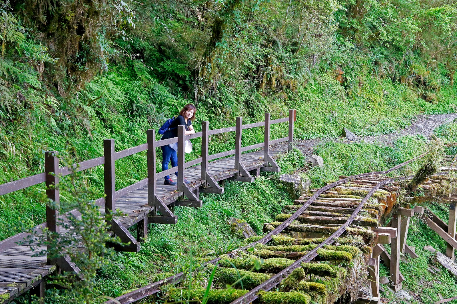 https://mdw-travel-data-us-east-1.s3.amazonaws.com/img/country/Taiwan/Aowanda-National-Forest-Recreation-Area/img_02.jpg