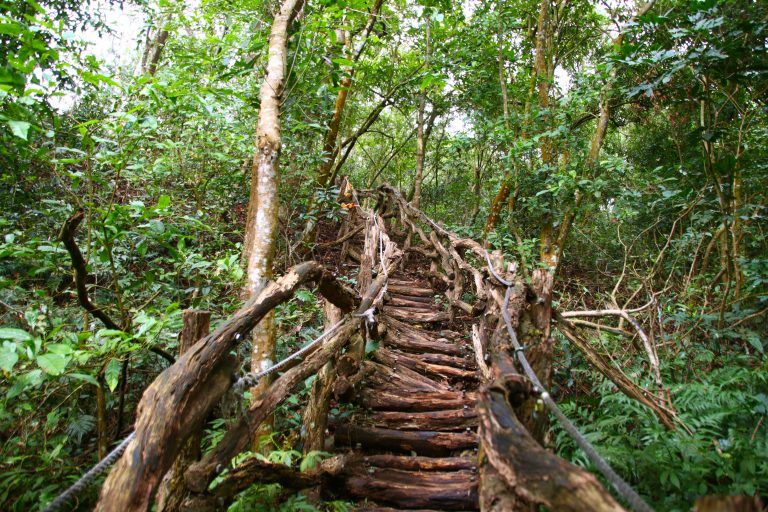 https://mdw-travel-data-us-east-1.s3.amazonaws.com/img/country/Taiwan/Dakeng-Scenic-Area/img_03.jpg