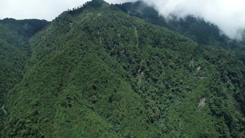 https://mdw-travel-data-us-east-1.s3.amazonaws.com/img/country/Taiwan/Dasyueshan-Forest-Recreation-Area/img_02.jpg