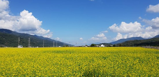 https://mdw-travel-data-us-east-1.s3.amazonaws.com/img/country/Taiwan/East-Rift-Valley-National-Scenic-Area/img_03.jpg