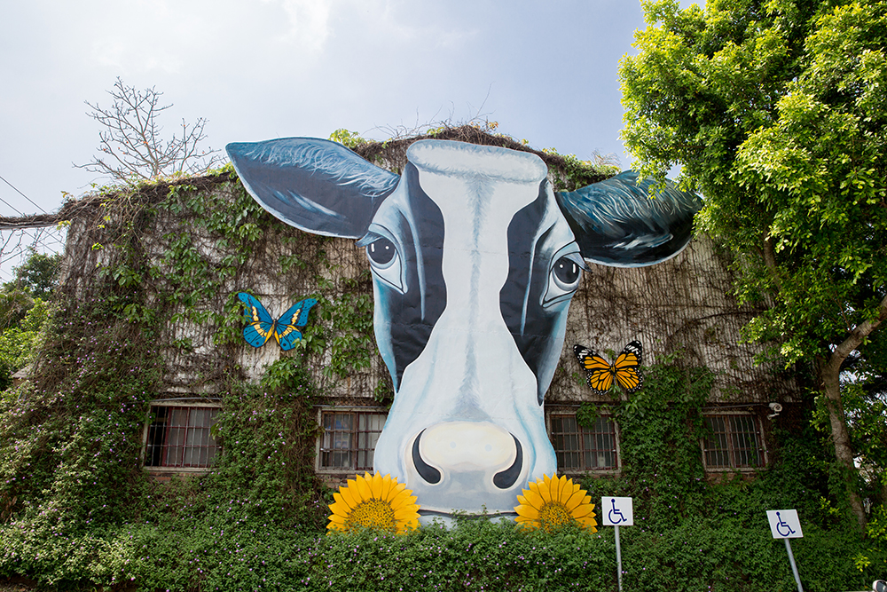 https://mdw-travel-data-us-east-1.s3.amazonaws.com/img/country/Taiwan/Flying-Cow-Ranch/img_00.jpg