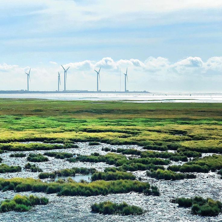 https://mdw-travel-data-us-east-1.s3.amazonaws.com/img/country/Taiwan/Gaomei-Wetlands/img_03.jpg
