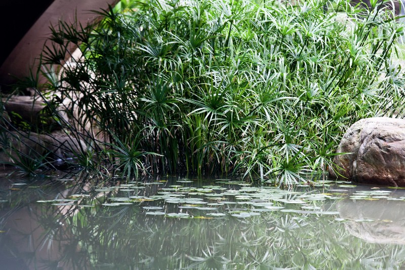 https://mdw-travel-data-us-east-1.s3.amazonaws.com/img/country/Taiwan/Hakka-Cultural-Park/img_03.jpg