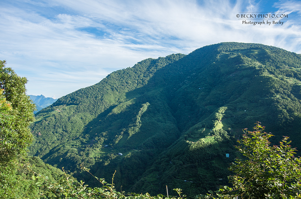 https://mdw-travel-data-us-east-1.s3.amazonaws.com/img/country/Taiwan/Lala-Mountain-Ecological-Park/img_01.jpg