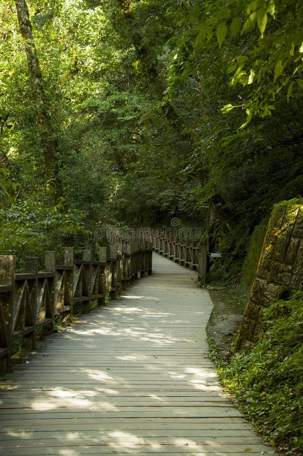 https://mdw-travel-data-us-east-1.s3.amazonaws.com/img/country/Taiwan/Lala-Mountain-Ecological-Park/img_02.jpg