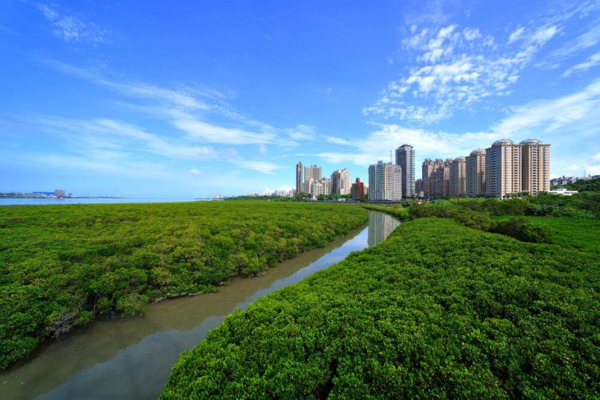 https://mdw-travel-data-us-east-1.s3.amazonaws.com/img/country/Taiwan/Mangrove-Nature-Reserve/img_03.jpg