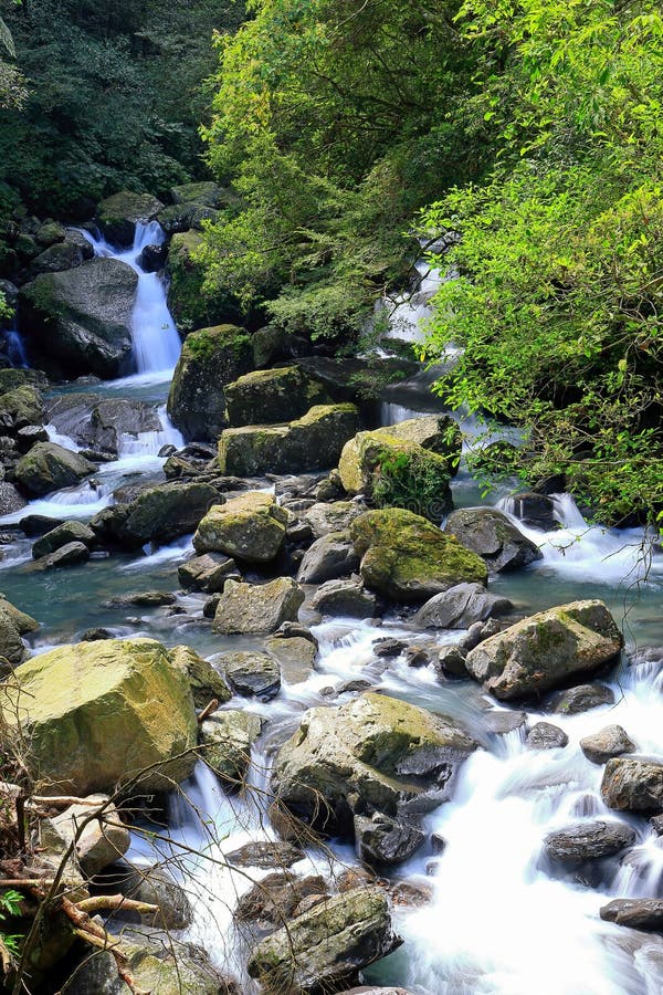 https://mdw-travel-data-us-east-1.s3.amazonaws.com/img/country/Taiwan/Meishan-Songboling-Forest-Recreation-Area/img_02.jpg