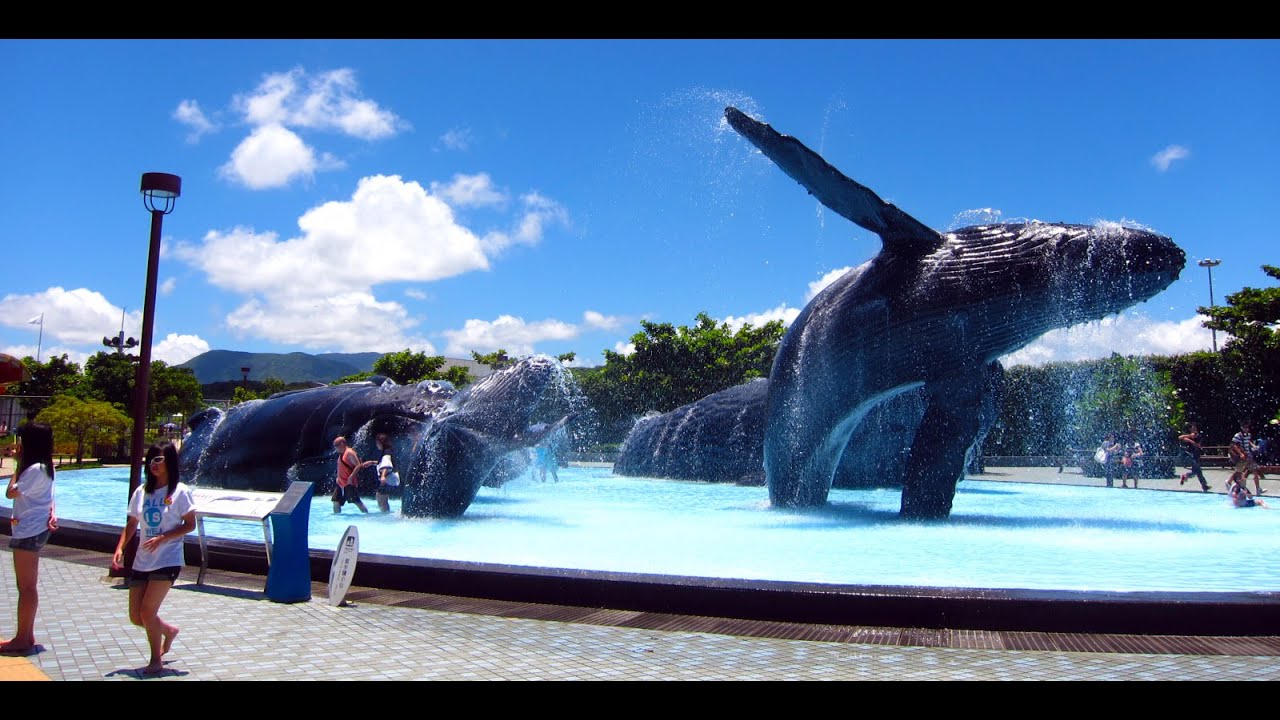 https://mdw-travel-data-us-east-1.s3.amazonaws.com/img/country/Taiwan/National-Museum-of-Marine-Biology-and-Aquarium/img_00.jpg