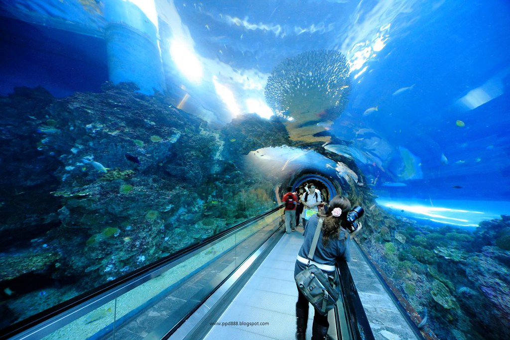 https://mdw-travel-data-us-east-1.s3.amazonaws.com/img/country/Taiwan/National-Museum-of-Marine-Biology-and-Aquarium/img_01.jpg