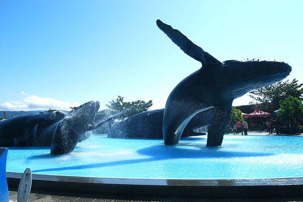 https://mdw-travel-data-us-east-1.s3.amazonaws.com/img/country/Taiwan/National-Museum-of-Marine-Biology-and-Aquarium/img_03.jpg
